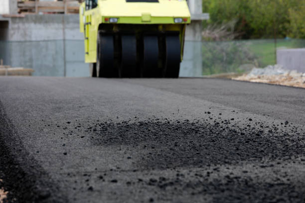 Best Local Driveway Pavers  in Santa Rosa, TX