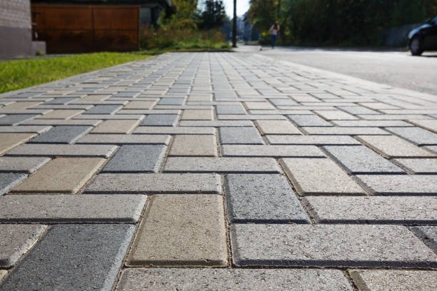 Best Professional Driveway Pavers  in Santa Rosa, TX