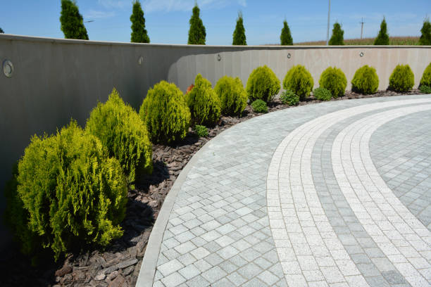 Best Brick Driveway Pavers  in Santa Rosa, TX